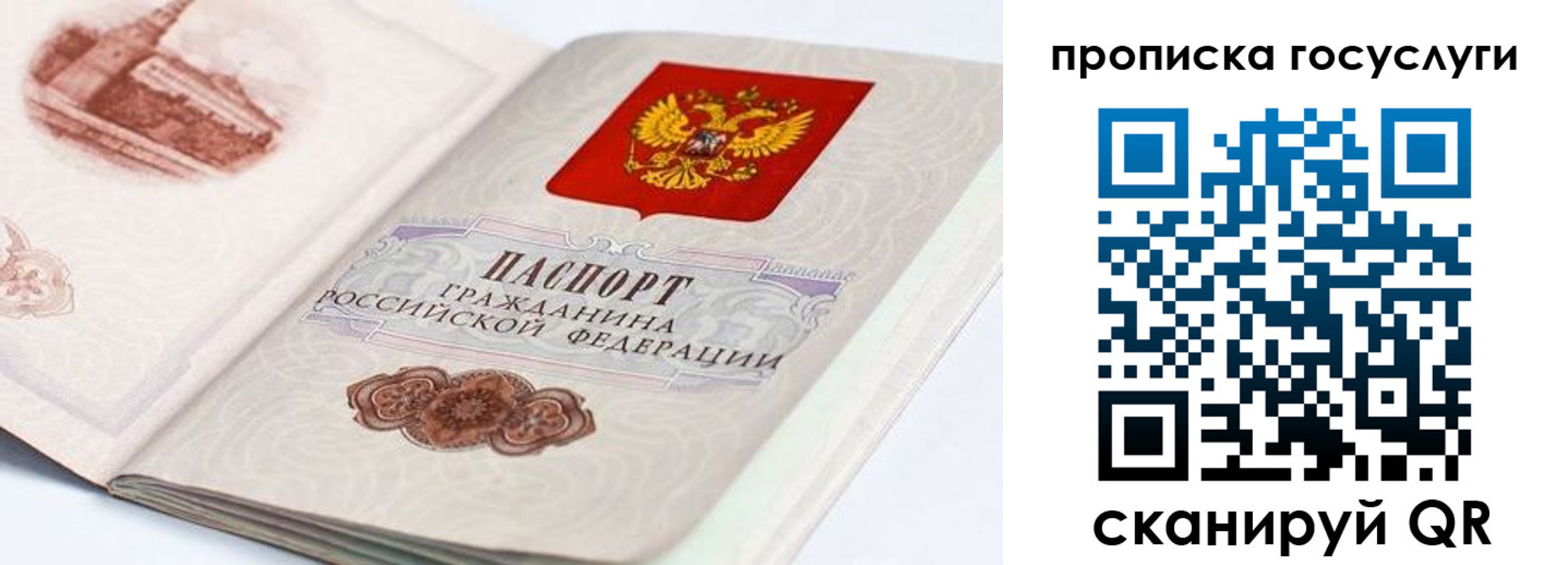 прописка регистрация в Сальске